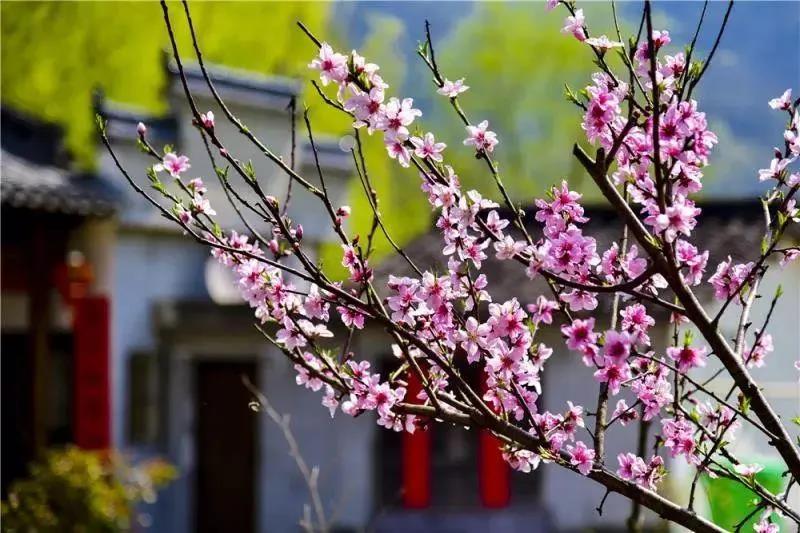 ������ʱ(�й�)�������ǲ�!