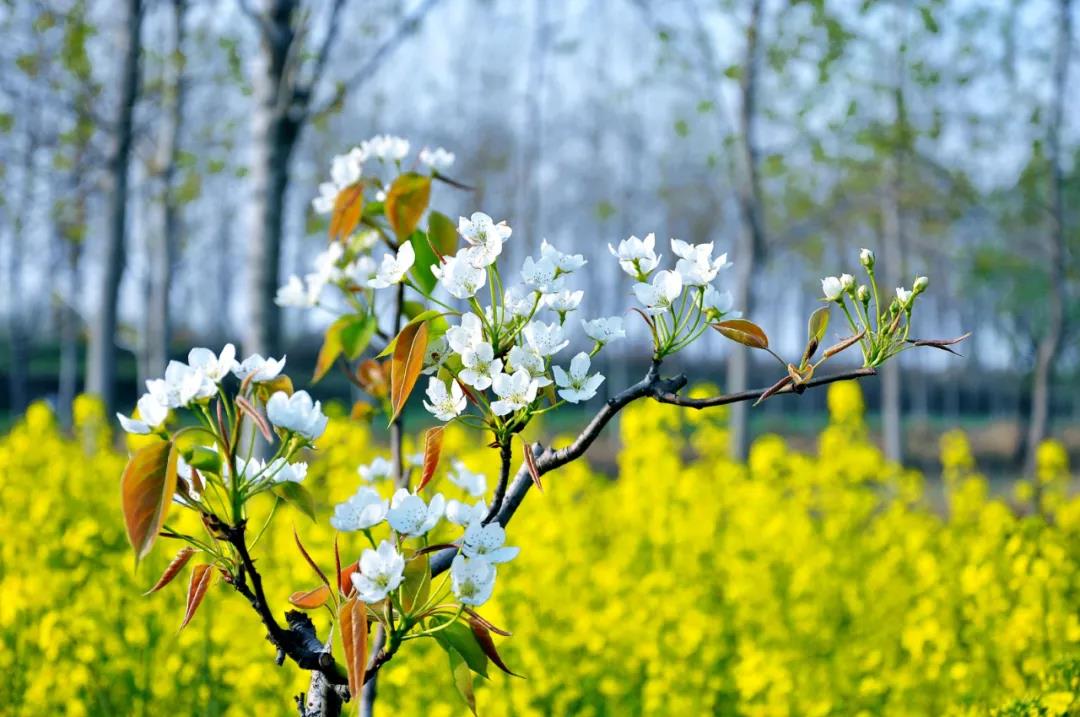 ������ʱ����