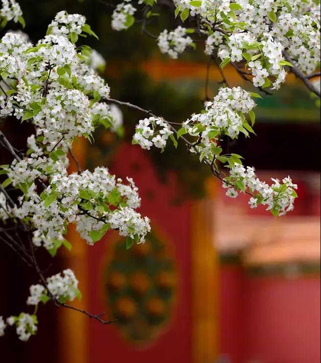 ������ʱ(�й�)�������ǲ�!