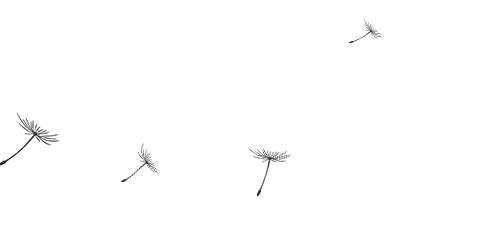 ������ʱ(�й�)�������ǲ�!