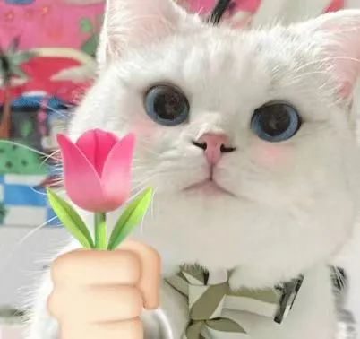 ������ʱ(�й�)�������ǲ�!